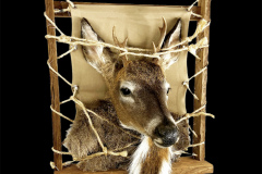 698A41C1-2A08-447F-B04E-18EBD7538EBF-Brian