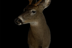 99FC0D9E-F3DB-4A14-B772-1CCFE9DEDD5D-Brian