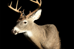 A0AB52C7-94EF-448D-9C7E-0A3465CD284C-Brian