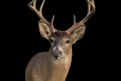 A9B611A4-EF6E-4389-981C-25E55EE79260-Brian