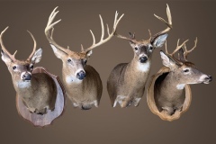 B5D34080-117D-4070-8AA9-7178DD539289-Brian